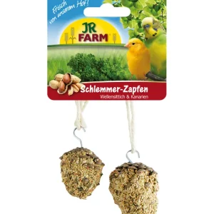 JR FARM Birds Schlemmer-Zapfen Wellensittich & Kanarien (2 Stück) 120g Vogelsnack Schnäppchen